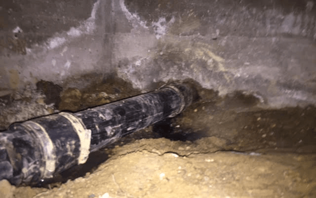 Mold Under House 