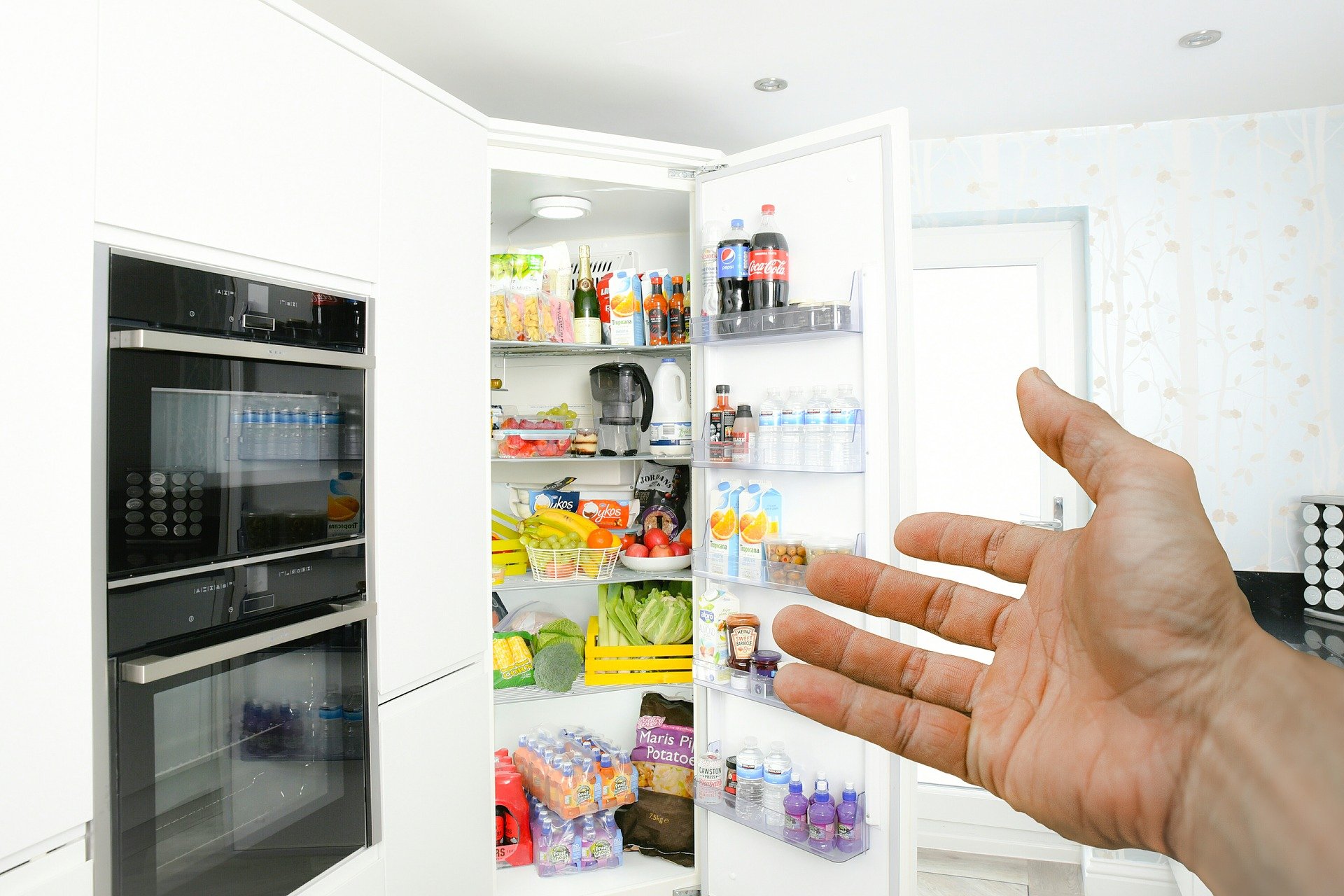 Refrigerator Mold in Los Angeles and Phoenix