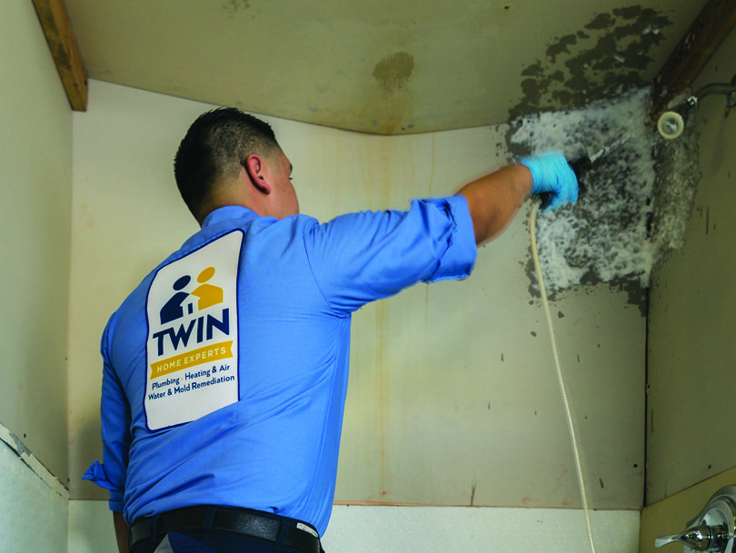 mold removal 2
